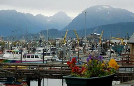 The view from the docks of fishing boats in Valdez, Alaska. 
